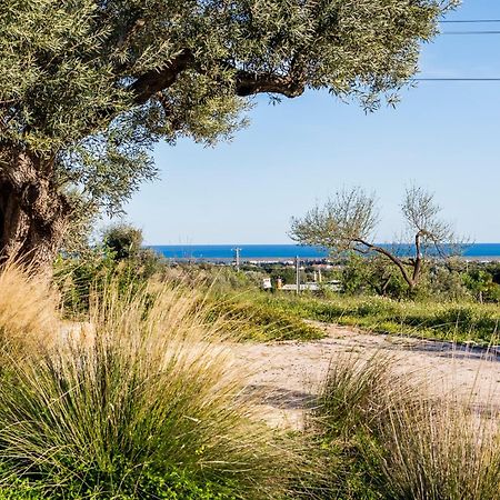 Quinta Da Baleeira Villa Tavira Kültér fotó