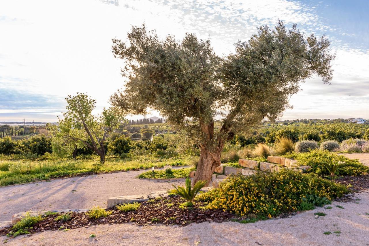Quinta Da Baleeira Villa Tavira Kültér fotó