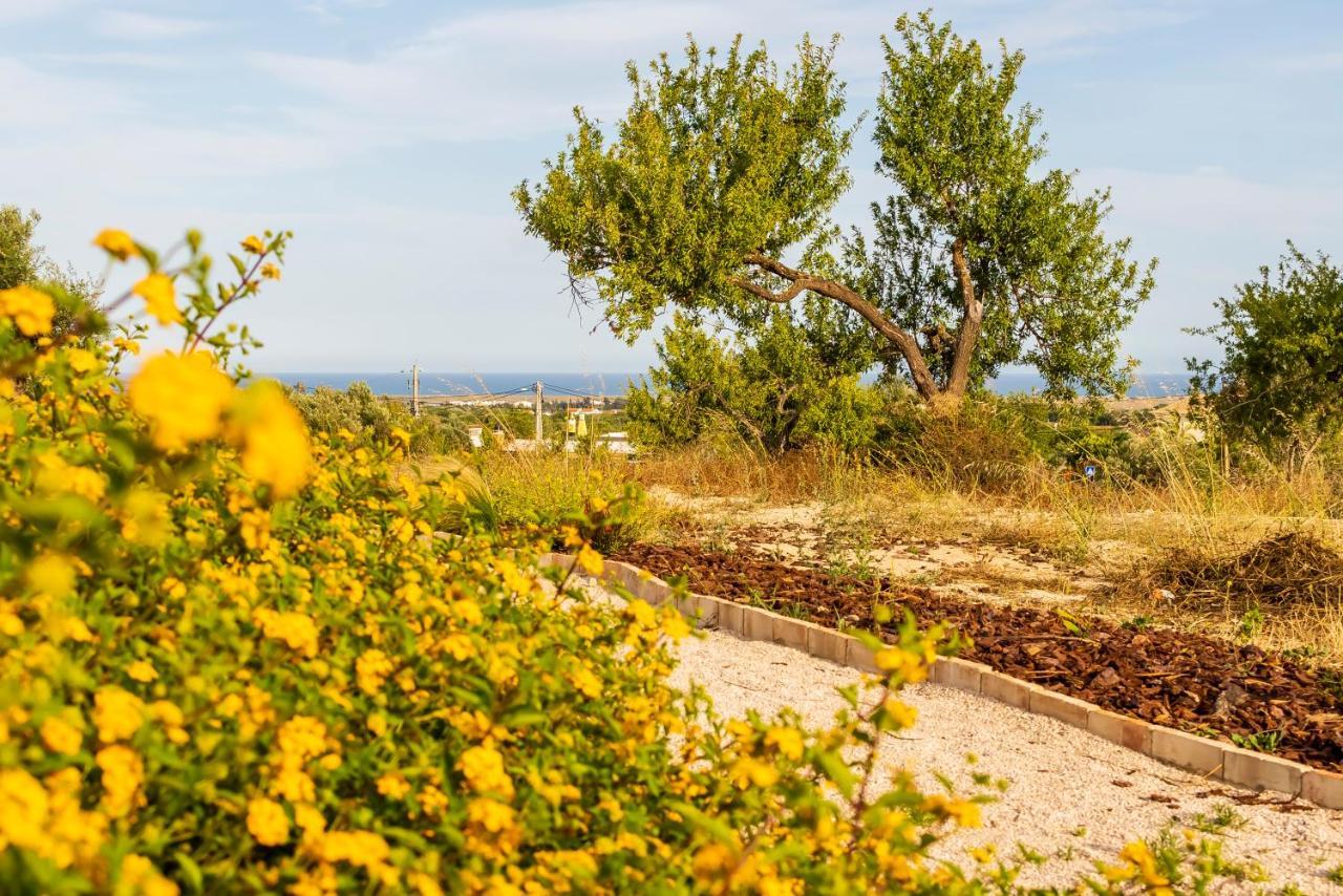 Quinta Da Baleeira Villa Tavira Kültér fotó